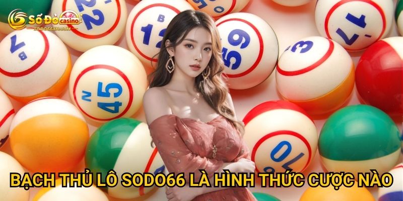 Bạch thủ lô ở Sodo66 mang lại lợi nhuận gì? 2 Bạch thủ lô Sodo66 là hình thức cược nào?