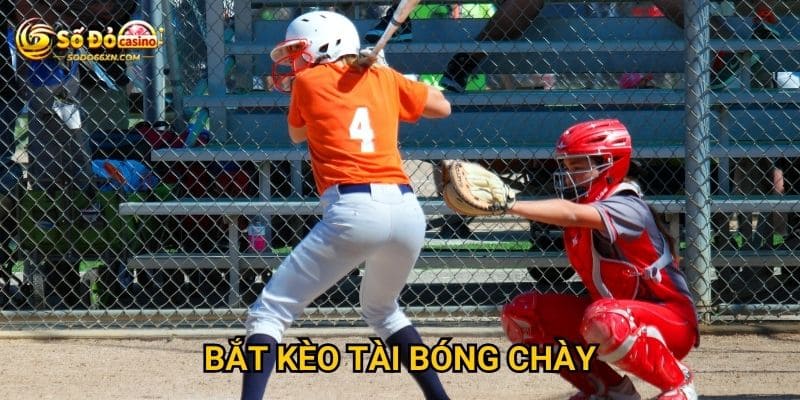 Bắt kèo tài bóng chày tại Sodo66 có khó không? 5 Bắt kèo tài bóng chày tại Sodo66 có khó không?