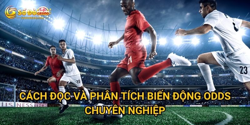 Theo dõi biến động odds ở Sodo66 quan trọng ra sao? 3 Cách đọc và phân tích biến động odds chuyên nghiệp