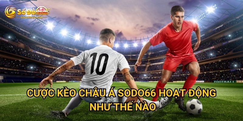 Cược kèo châu Á tại Sodo66 có gì hấp dẫn? 2 Cược kèo châu Á Sodo66 hoạt động như thế nào?