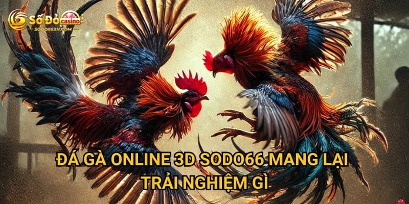 Đá gà online 3D ở Sodo66 có chân thực như thật không? 2 Đá gà online 3D Sodo66 mang lại trải nghiệm gì?