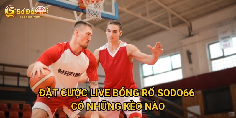 Đặt cược live bóng rổ ở Sodo66 mang lại lợi thế gì? 2 Đặt cược live bóng rổ Sodo66 có những kèo nào?