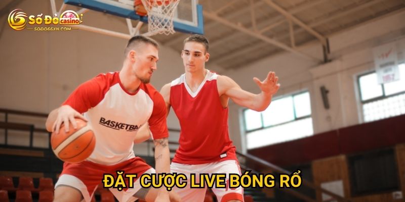 Đặt cược live bóng rổ ở Sodo66 mang lại lợi thế gì? 3 Đặt cược live bóng rổ ở Sodo66 mang lại lợi thế gì?